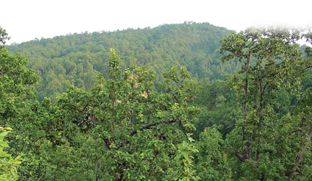 कार्वन डाईअक्साईड घटाए वापत नेपाललाई १ अर्व १९ करोड प्राप्त