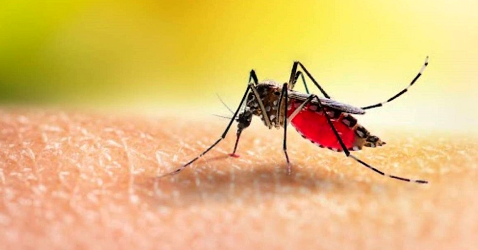 नवलपरासीमा जापानिज इन्सेफलाइटिसबाट १४ जना संक्रमित, २ महिनामा ४ जनाको मृत्यु